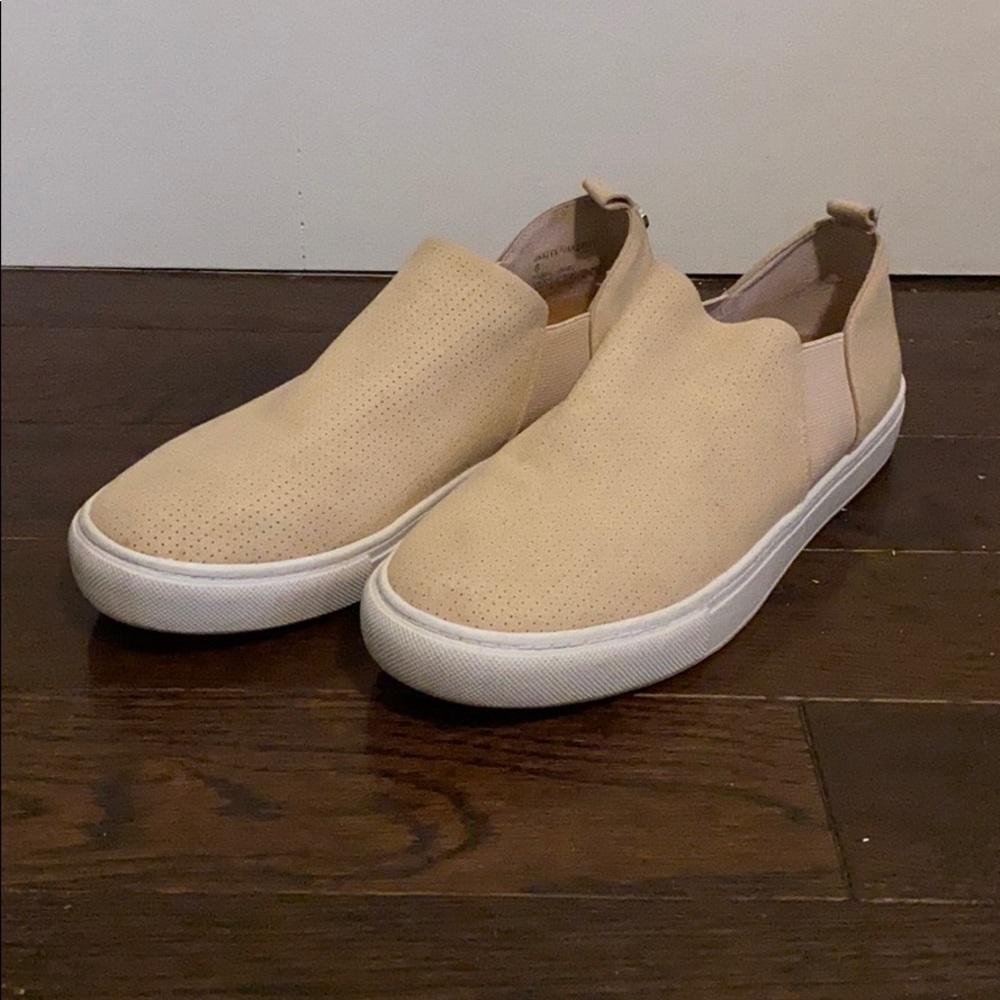 Steve Madden Janzer Sneakers
